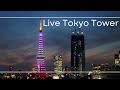 4K LIVE 東京タワーと麻布台ヒルズ森JPタワー /Tokyo Tower and Roppongi Hills and Azabudai Hills 2023.2.3.2