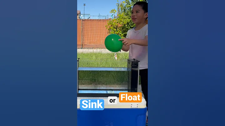 Sink or Float #sink #float #sinkorfloat #balloon #train #density #densityexperiment