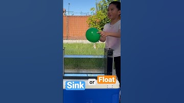 Sink or Float #sink #float #sinkorfloat #balloon #train #density #densityexperiment