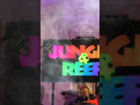 Nordriff 2025 #meerwasseraquarium #aquaristik