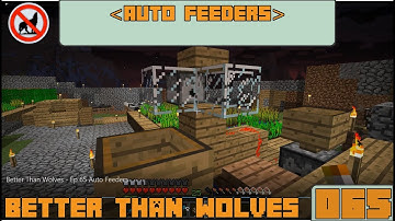 Better Than Wolves - Ep 65 | Auto Feeders
