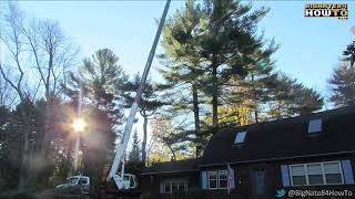 50 Ton Boom Truck Removes Mive Pine Trees