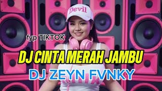 Download Lagu DJ CINTA MERAH JAMBU fyp TIKTOK MP3