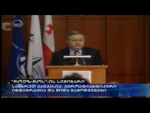 გამოსვლა ნატოს საპარლამენტო ასამბლეის სემინარზე 29.04.2013