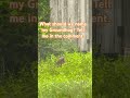 NAME THIS GROUNDHOG IN COMMENTS!