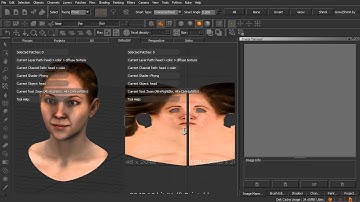 Overview of the MARI interface