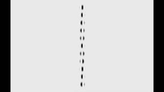 Motion Perception Illusion