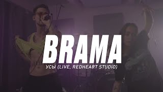 BRAMA - Усы (live, RedHeart Studio)