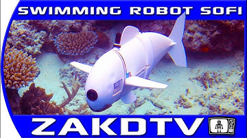 SoFi the new robotic fish from MIT designed to explore the oceans