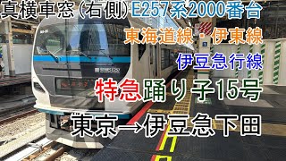 真横車窓]E257系2000番台[特急踊り子15号]東京→伊豆急下田(東海道線