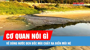 Dòng nước thải đen kịt, bốc mùi hôi thối chảy thẳng ra biển Mũi Né