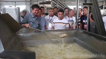 Fully Automatic Spicy Peanuts Making Machine Production Line