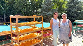 видео: Домашнее Производство Сухофруктов в Армении — Секреты Натурального Вкуса!) картинка: Домашнее Производство Сухофруктов в Армении — Секреты Натурального Вкуса!)