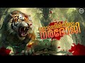 Kenneth Anderson|The Man Eater of Jowlagiri|NIA TV|Noyal Idukki|NiA Wildlife|Hunting Story|വേട്ടക്കഥ