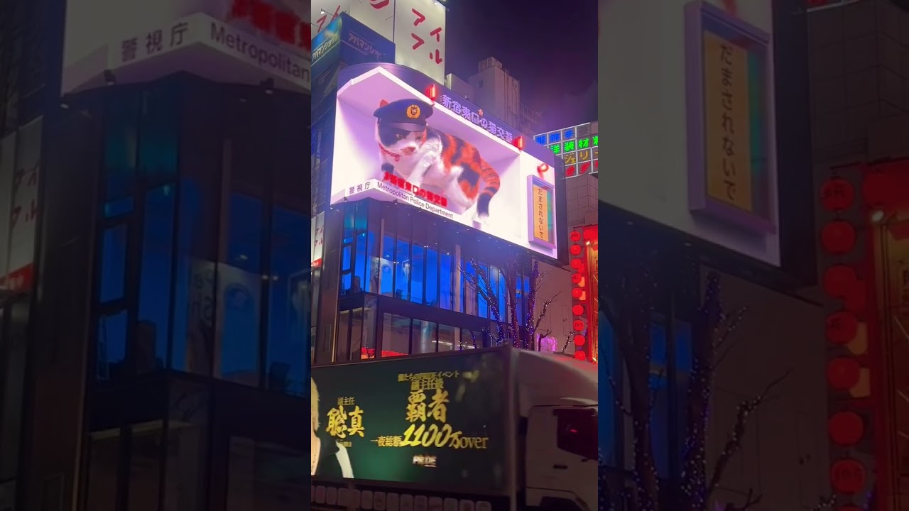 Giant cat invades Japan! 😁 