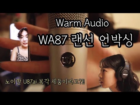 콘덴서 마이크 👉🏻WA87 언박싱🎤👈🏻 / 어떤 마이크를 살지 고민하고 있다면?!!