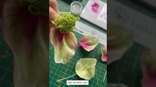 Making Hellebore flower with silicone flower molds Christina Wallis #coldporcelain