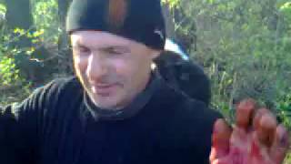 Кастрация быка более 500-т. килограммов Кастрация быка более 500-т. килограммов