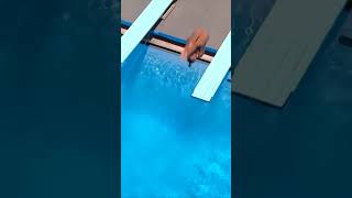 Famous She Was Perfect #diving #shorts #female #sports Wealth