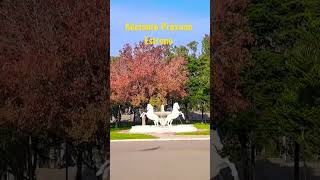 ✅️👉🏻Pueblos AUTÉNTICOS! #argentina #viajes #youtubeshort #ya #culturasantafe #argentinatravel
