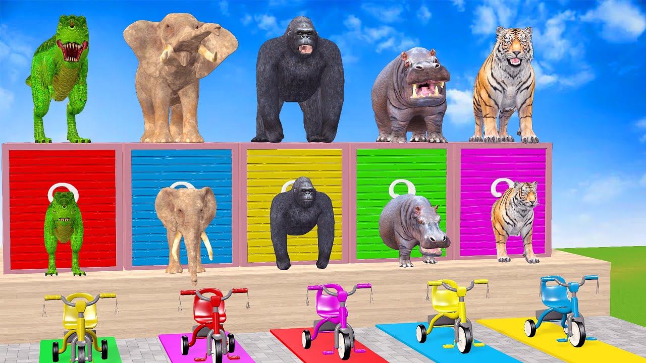 Long Slide Game with Cow Elephant Gorilla Hippopotamus Tiger 3d Animal Game Funny 3d Animals