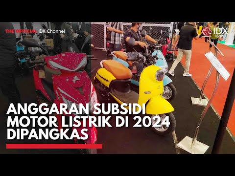 Anggaran Subsidi Motor Listrik di 2024 Dipangkas | IDX CHANNEL