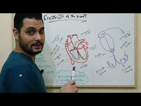 ELECTRICITY OF THE HEART,AV NODE,SA NODE,BUNDLE OF HIS  إنقباض وإنبساط عضلات القلب #NURSE_NOTE