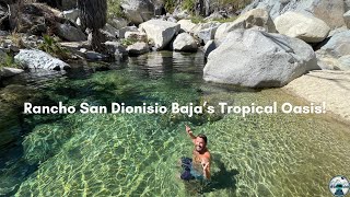 Rancho San Dionisio Baja's Tropical Oasis! | Baja California Sur, Mexico