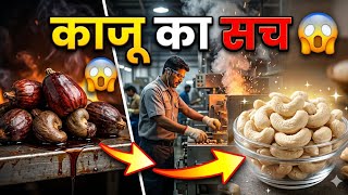 Factory में काजू कैसे बनता है 😱 | Cashew Processing Factory Full Process | Kaju Ka Sach