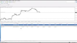 Торговля на FOREX. Как пользоваться вкладкой Торговля на FOREX. Как пользоваться вкладкой