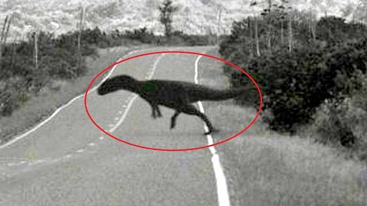 15 Dinosaurs Caught On Camera And Seen In Real Life - DayDayNews