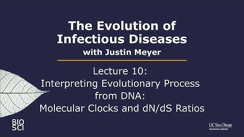 The Evolution of Infectious Diseases with Justin Meyer