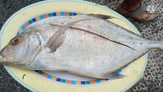 BAKED PENNE AND GRILLED FISH TALAKITOK