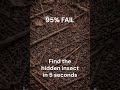 95% FAIL 🤯 Find the Hidden Insect in 5 Seconds