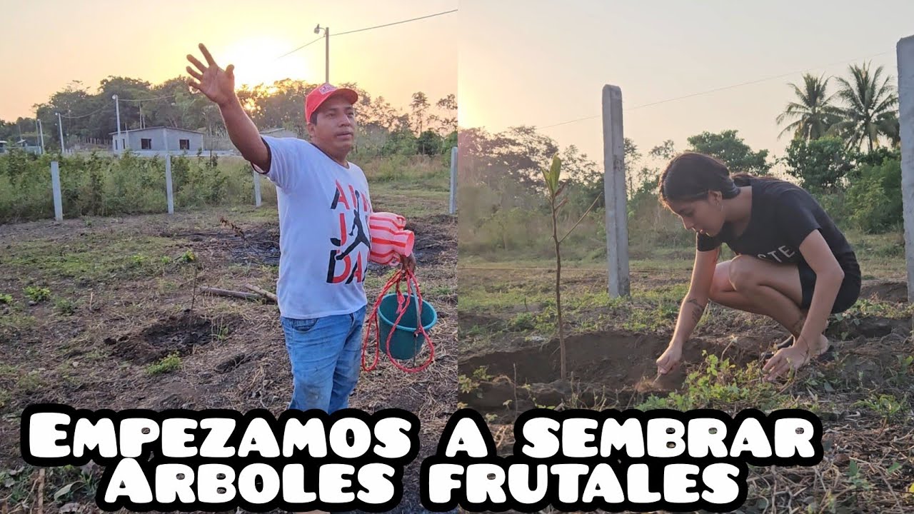 TACHA Y LETY compran terreno en la colonia 
