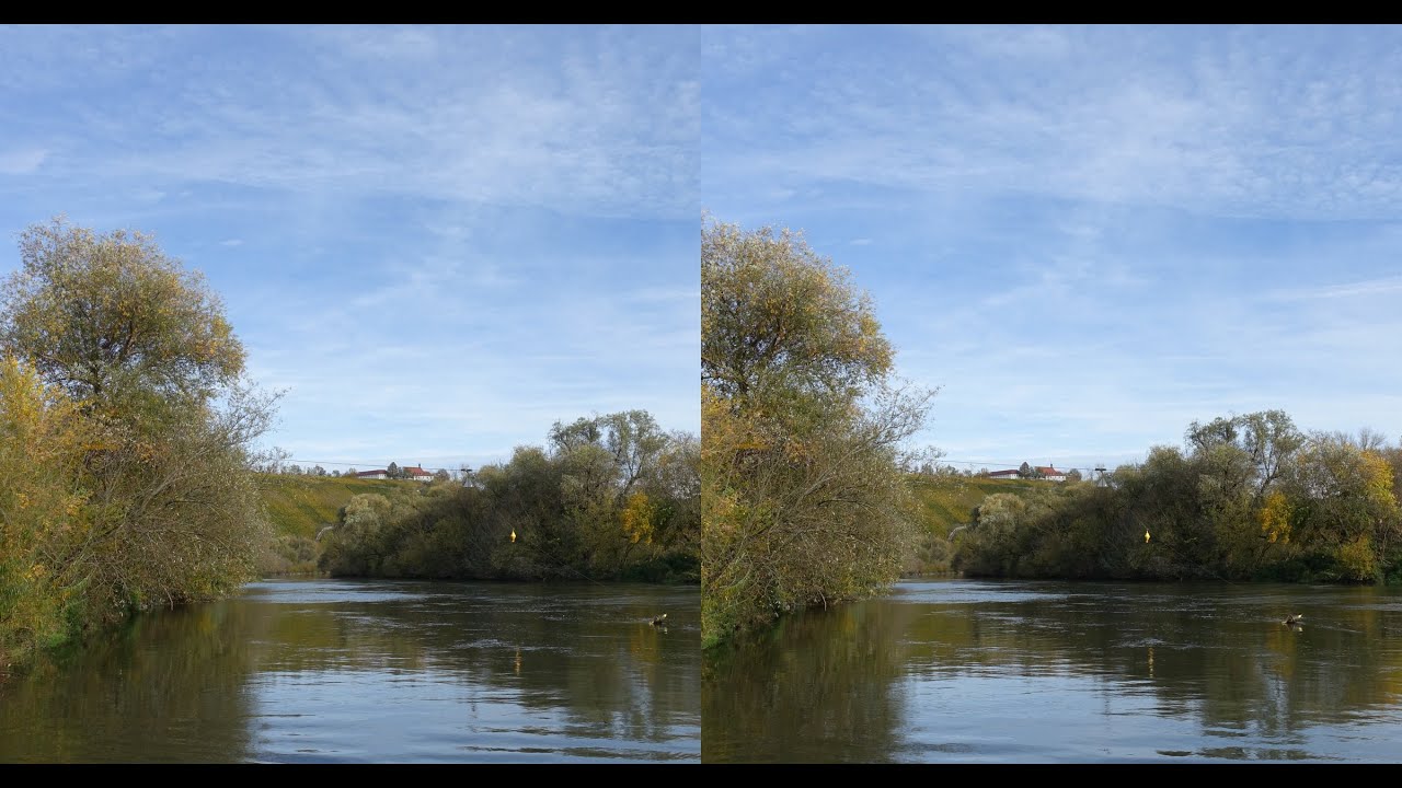 Maininsel = Weininsel bei Escherndorf/Sommerach/Volkach. Wanderung in Diaschau 3D 4K hsbs 3840x2160