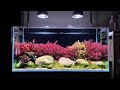 Weekaqua t series t90 pro led aquarium light