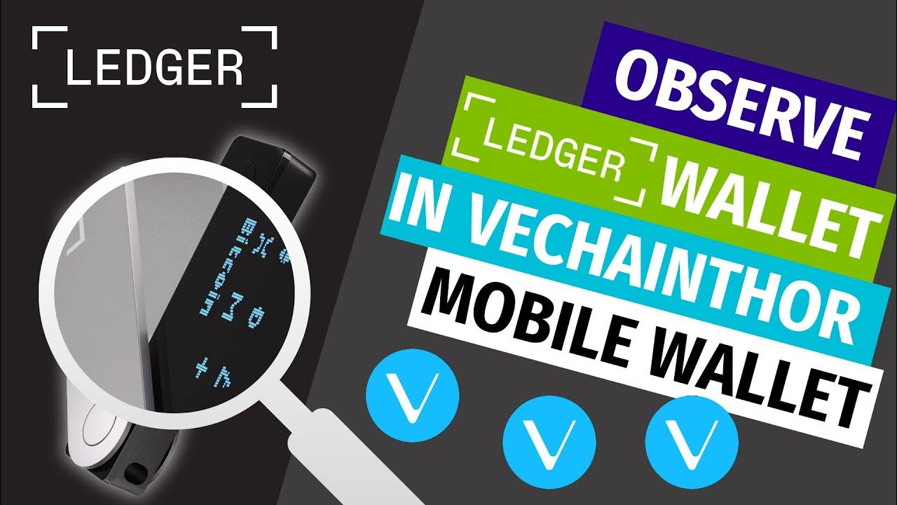 How to observe a Ledger based wallet in your VeChainThor Wallet YouTube