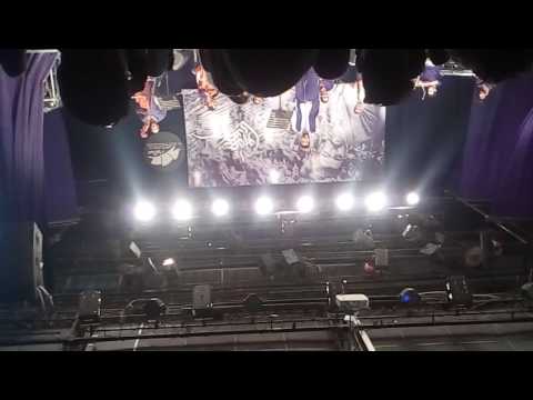 قصيدة كما يليق بوردة