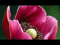 Liora Ziet presents: "Feeling our hearts."