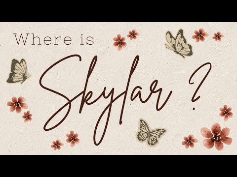 "Where Is Skylar?" | The Magnusen Family