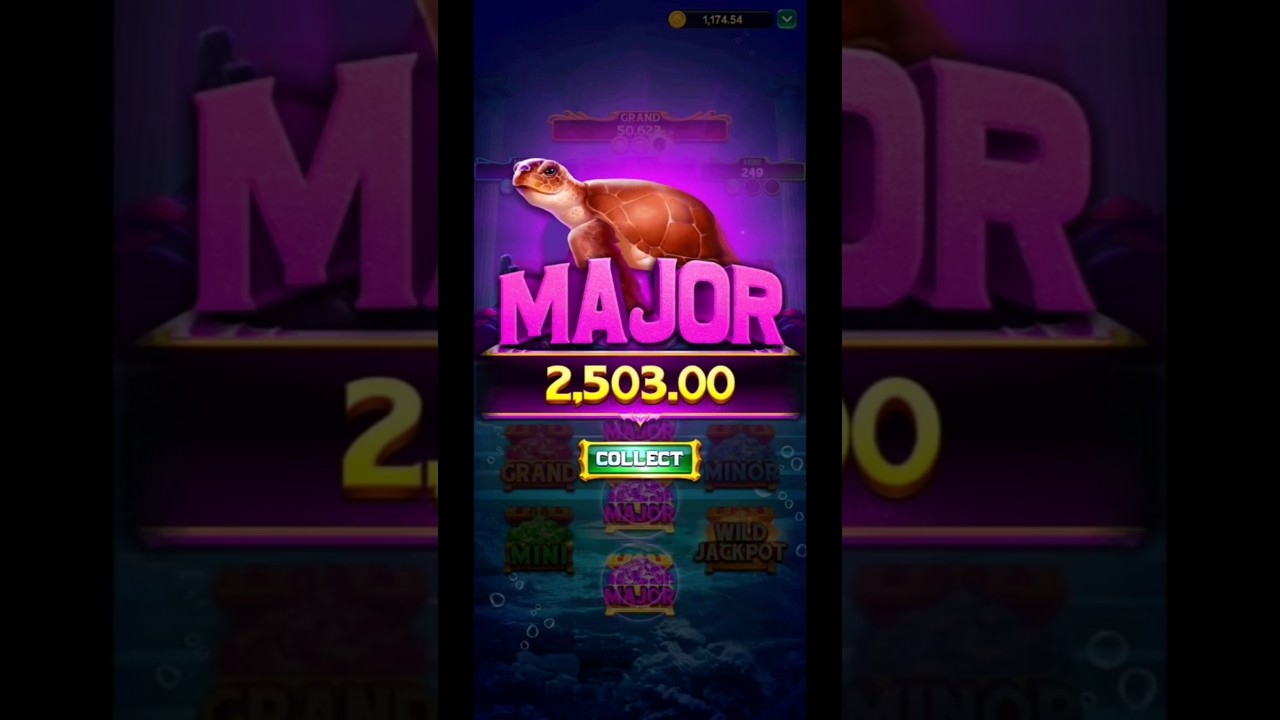 mbm bet game 😱एमबीएम बेट गेम🤑 