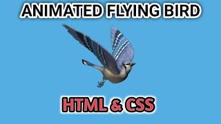 ANIMATED FIYING BIRD || HTML AND CSS PROJECT || IT ACADEMY WITH SUFIYAN💻
