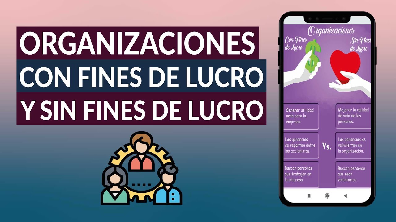 ¿Cuáles son las Diferencias Entre 'Organizaciones con Fines de Lucro' y
