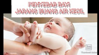 Penyebab bayi jarang buang air kecil ll waspada penyakit ginjal akut pada anak