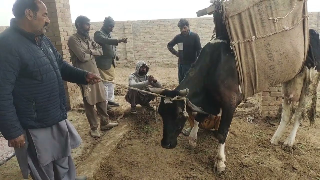 مسل ویکنس کیسے ٹھیک کیا جا سکتا ہے