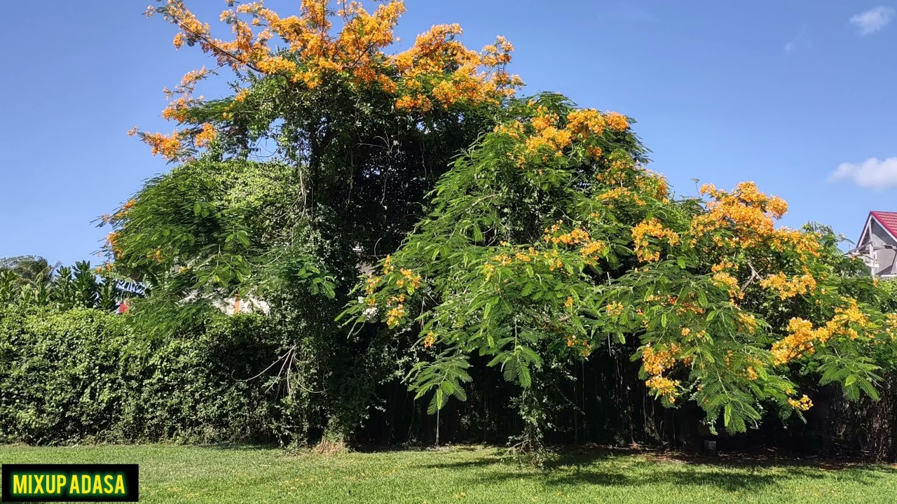 BlTT€R SPlC€ A R€P0RT 99 & BL0GG€R$ WH0 SH€ CALL PLANK€R$ 