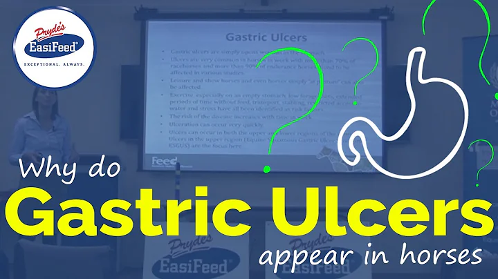 Why do Gastric Ulcers appear in horses?