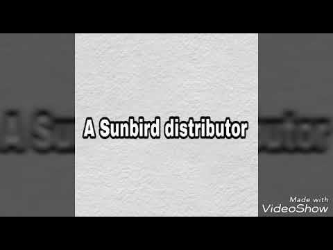 Sunbird perfumes - making