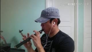 Pocket Sax Xaphoon [ Fly Me to the Moon ] 포켓삭스 사푼